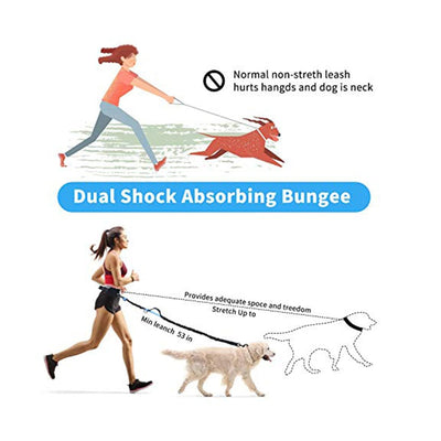 Running Dog Leash