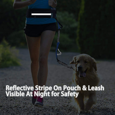 Running Dog Leash