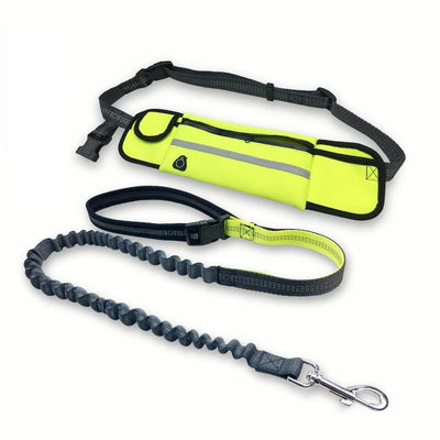 Running Dog Leash