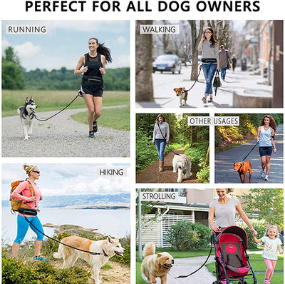 Running Dog Leash